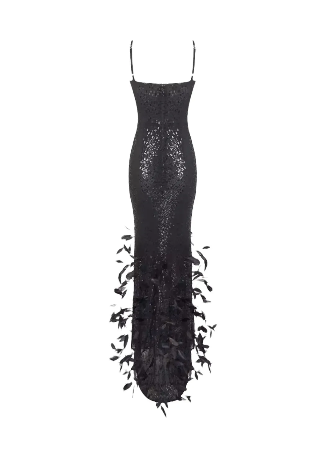 Candice Feather Decor Maxi Dress