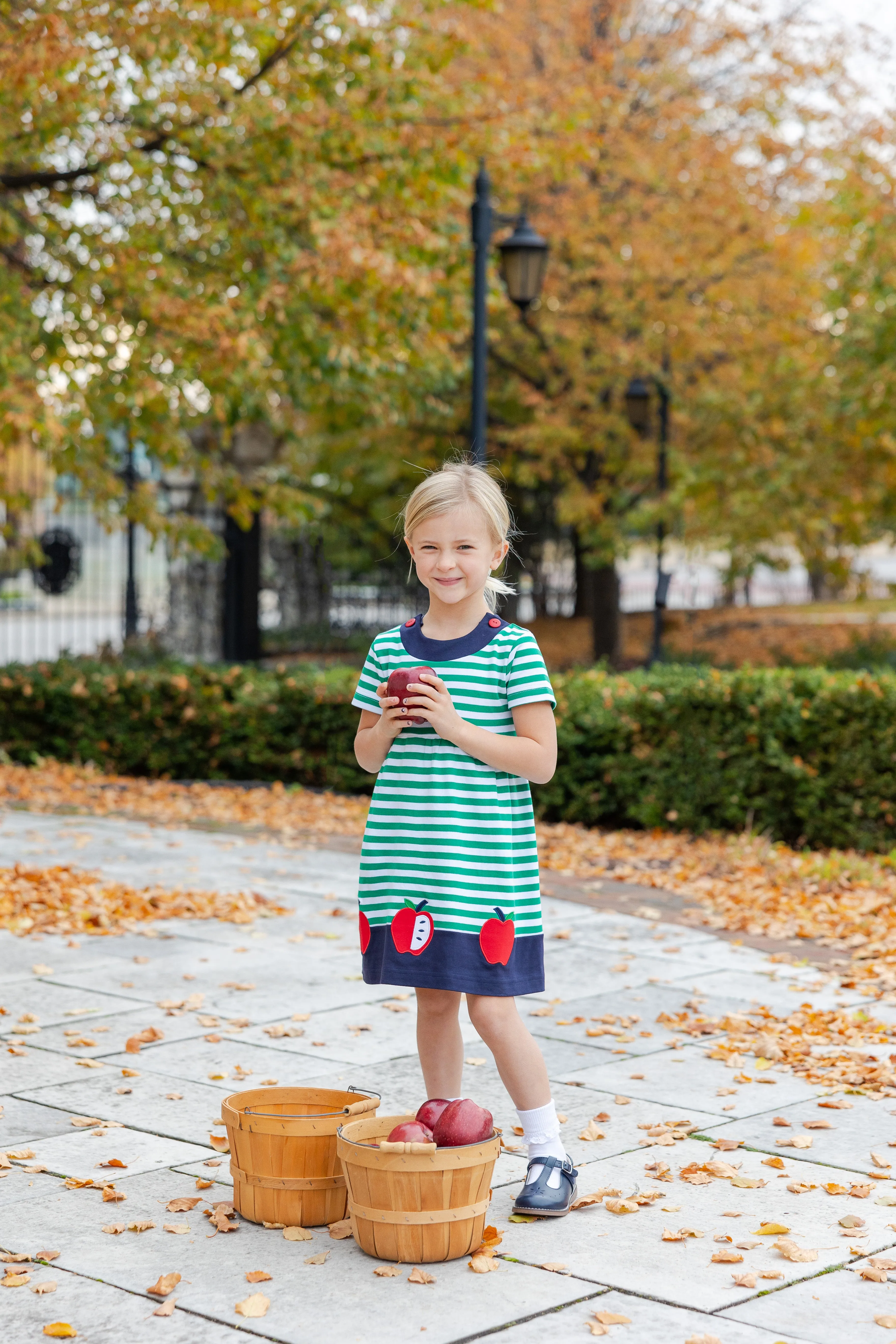 Stripe Knit Waist Dress With Apples
